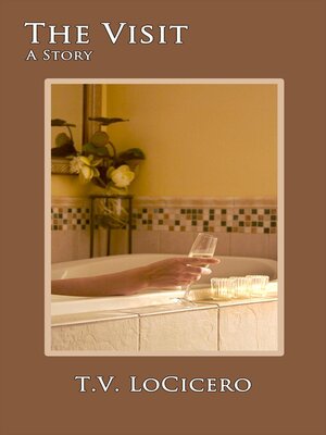 cover image of The Visit